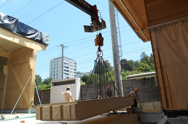 article photo