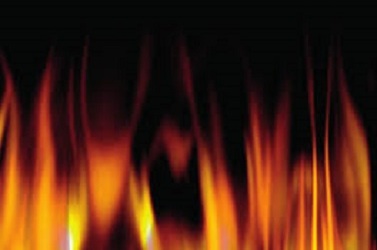 article photo